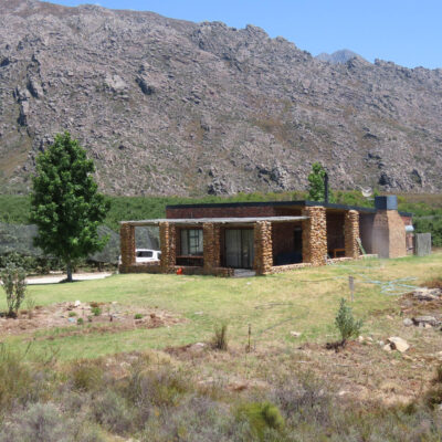 Klipspringer 37