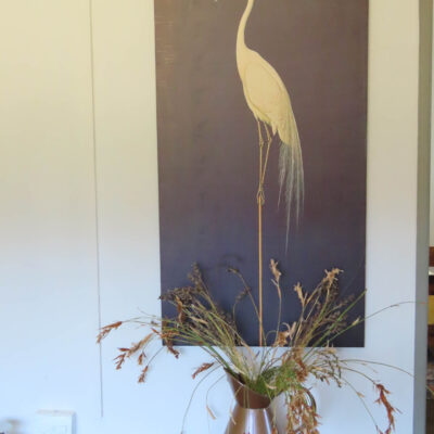 Klipspringer 44
